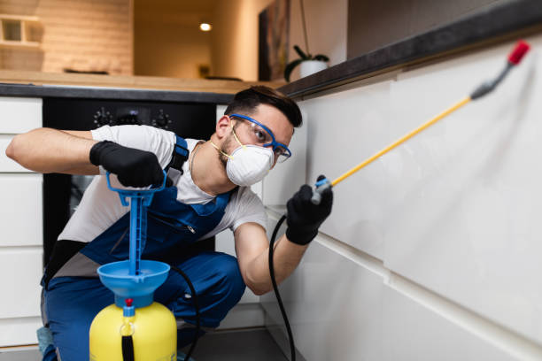 Reliable Fargo, ND Pest Control Solutions
