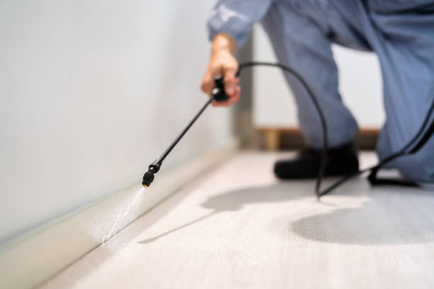 Flea Control Services in Fargo, ND