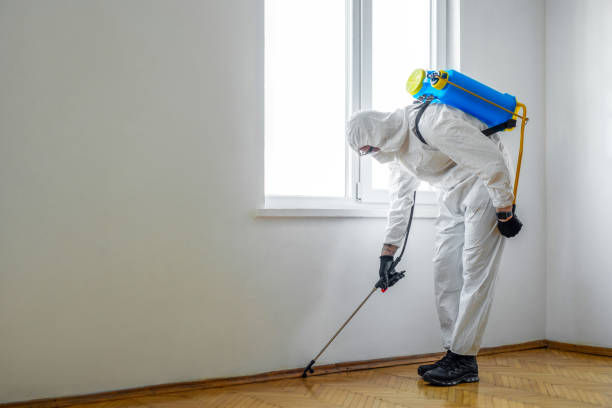 Pest Prevention Services in Fargo, ND