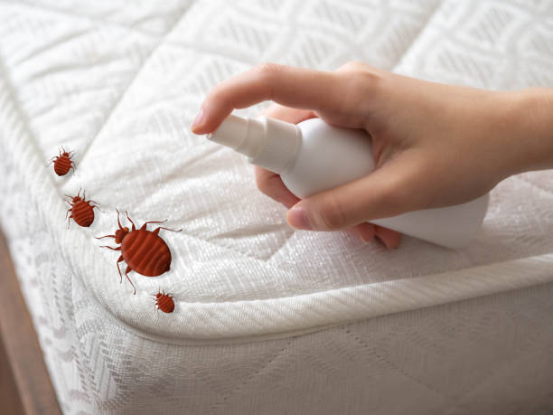Best Pest Removal Services  in Fargo, ND