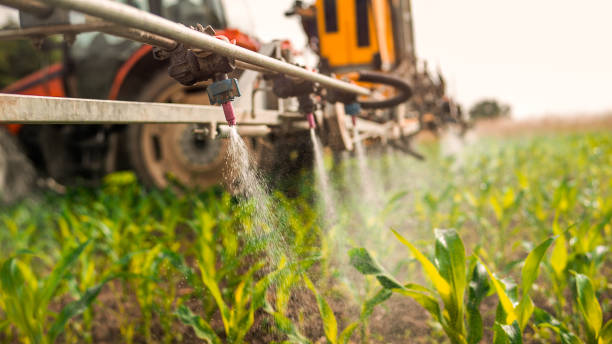 Best Mosquito Control Services  in Fargo, ND